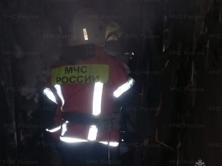 В Туле пожарные спасли 21 человек из горящего дома