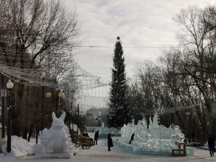 В Хабаровске для конкурса «Амурский хрусталь» выбрали тему «Ледовая симфония»