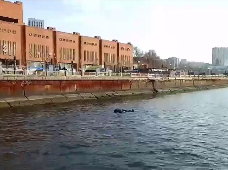 Подводного охотника на надувном круге заметили в центре Владивостока