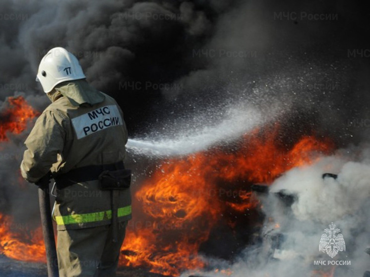 Вечером 21 ноября в Ивановской области загорелся садовый домик