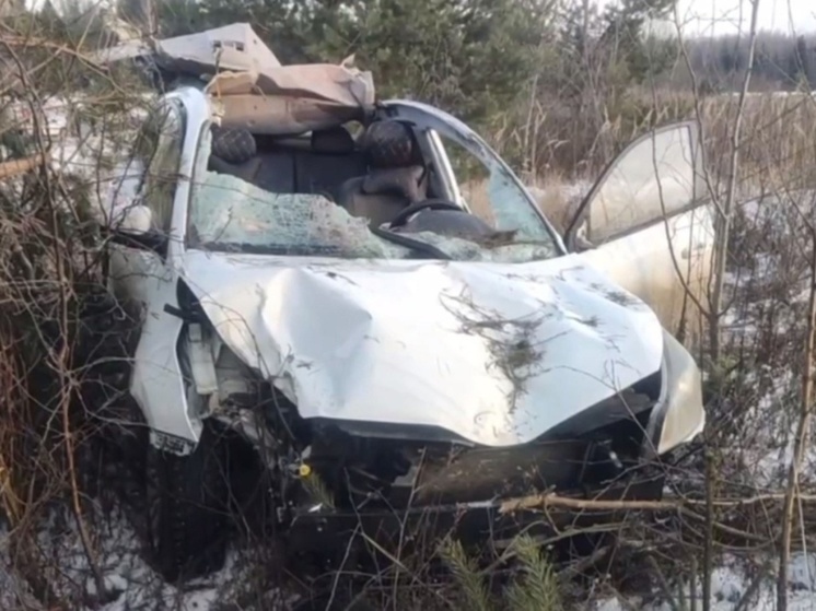 Костромские трагедии: на трассе Р-243 водитель иномарки погиб в столкновении с лосем