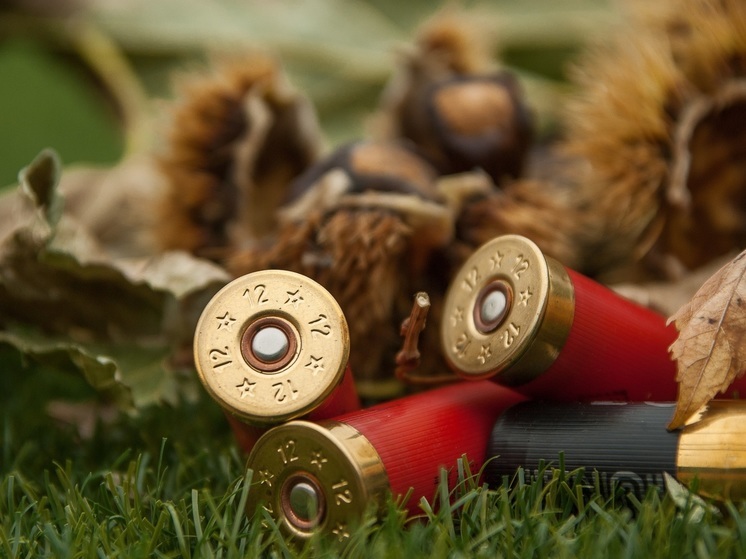 Житель Карелии смастерил патроны из найденного в квартире пороха