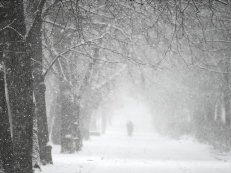 Снегопады и аномальные морозы накроют Карелию