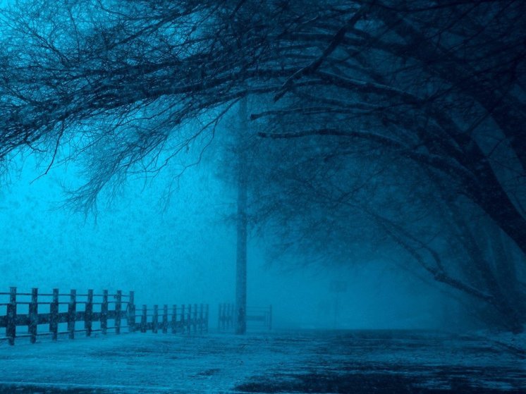 Синоптики 23 ноября предсказывают в Смоленске снег