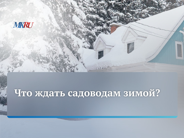 В четверг, 23 ноября, в 18:00 прошел прямой эфир из пресс-центра «МК», посвященный вопросам садоводов в зимнее время.