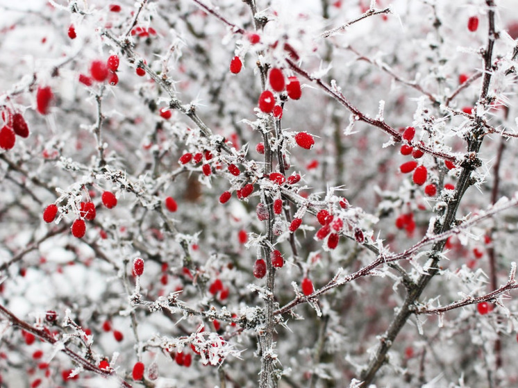 23 ноября в Ивановской области ожидают небольшие снегопады и гололедицу