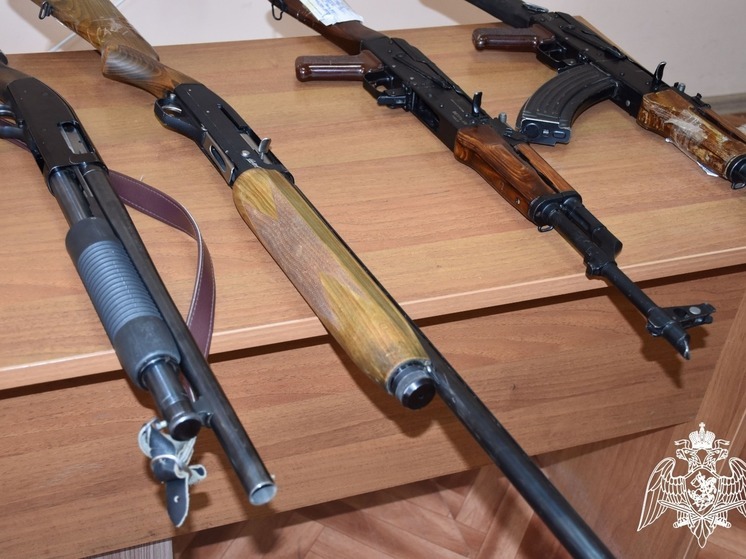 В Калмыкии с начала года у населения изъяли более 400 единиц огнестрела