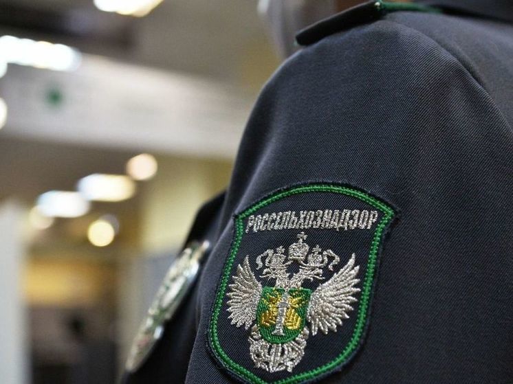 В Калмыкии не все мясные полуфабрикаты были исследованы на антибиотики