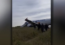 После аварийной посадки рейса Сочи-Омск авиакомпании "Уральские авиалинии" в Новосибирской области, пассажиры получили компенсацию в размере 15,8 миллионов рублей