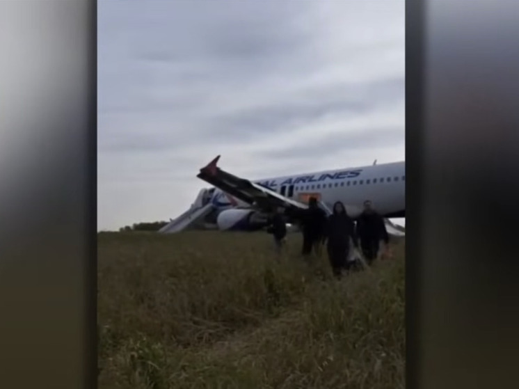 Более 15 млн рублей выплатили пассажирам, севшего в поле самолета около Новосибирском