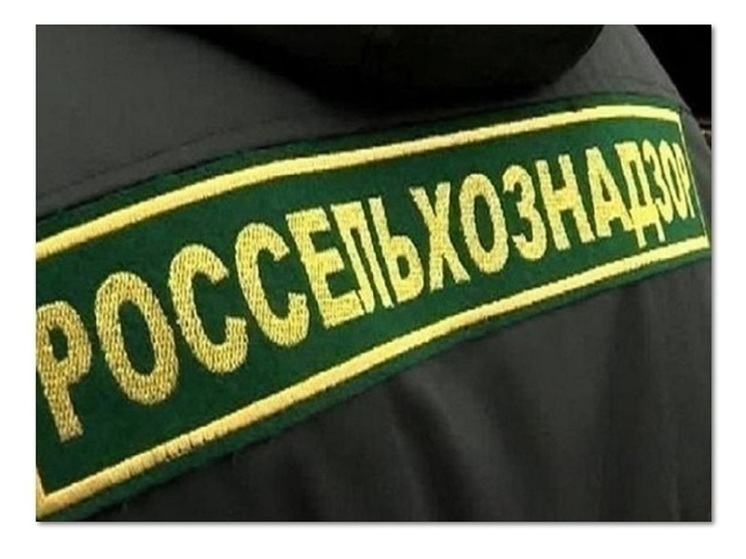 Во Владимирской области Россельхознадзор ликвидировал большую стихийную свалку