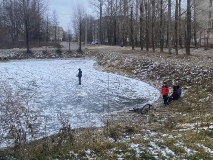 Костромская прокуратура займется прудом в Волгореченске