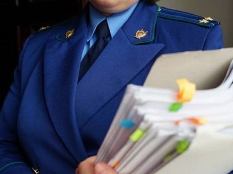Благодаря прокуратуре владимирке назначили ежемесячную выплату на ребенка