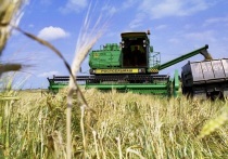 Министерство сельского хозяйства РФ объявило о введении запрета на экспорт твердой пшеницы в России в период с 1 декабря текущего года по 31 мая следующего года
