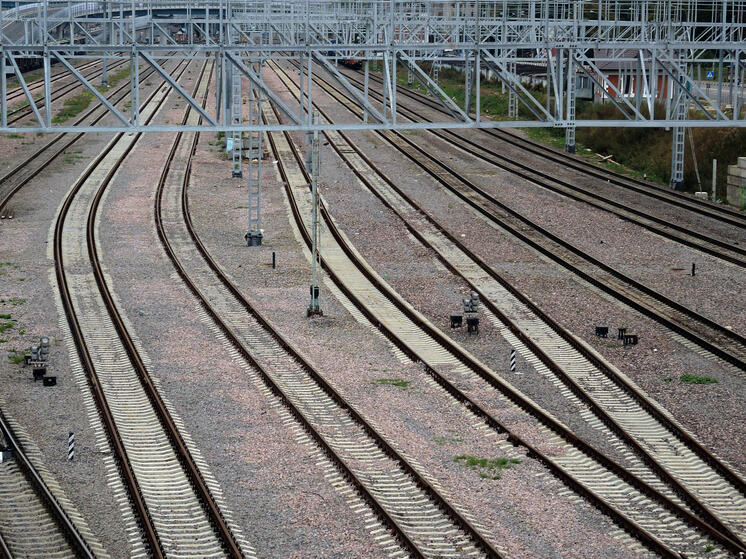 Два поезда столкнулись под Ульяновском из-за пьяной сотрудницы