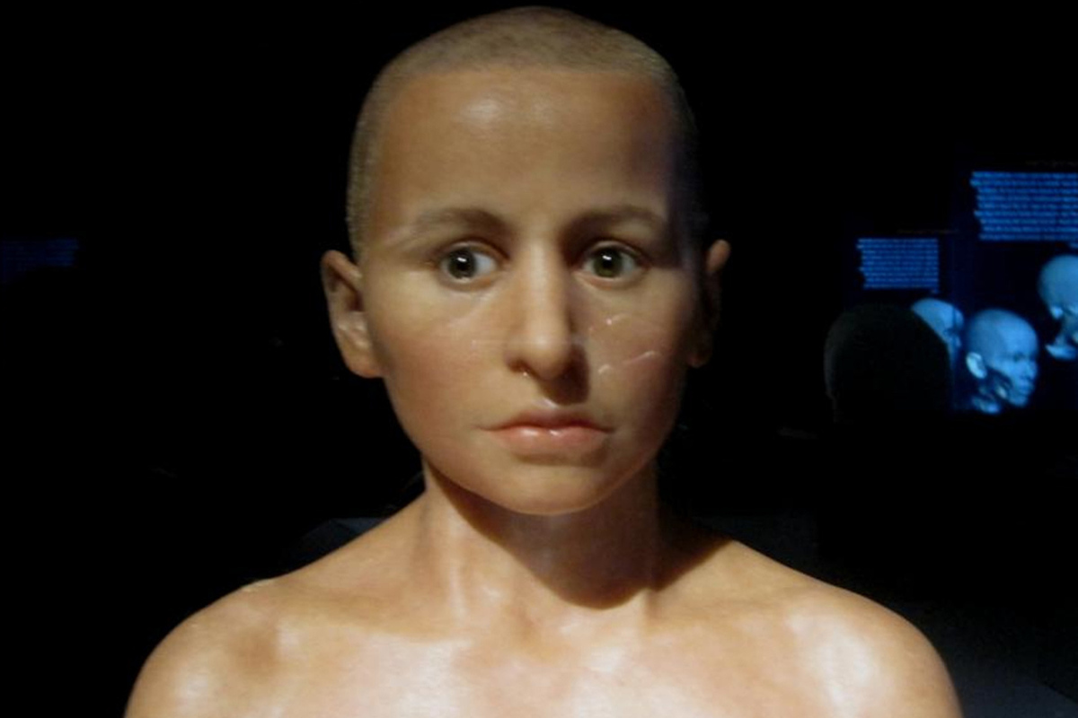 Scientists discover an abnormally large brain in an ancient Egyptian mummy