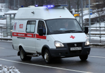 Они сами принесли девочек в палату

