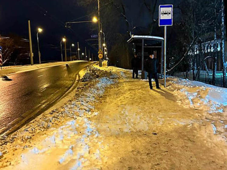 В Пензе будут ограничивать парковку для чистки снега
