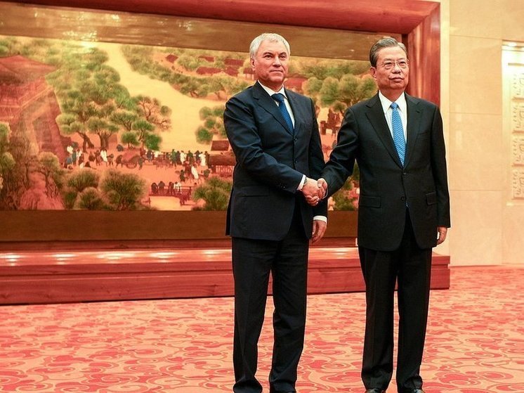 В Китае назвали сотрудничество Воронежа с городом-побратимом Чунцином успешным