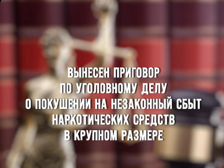 В Смоленске вынесен приговор по уголовному делу о незаконном сбыте наркотических средств