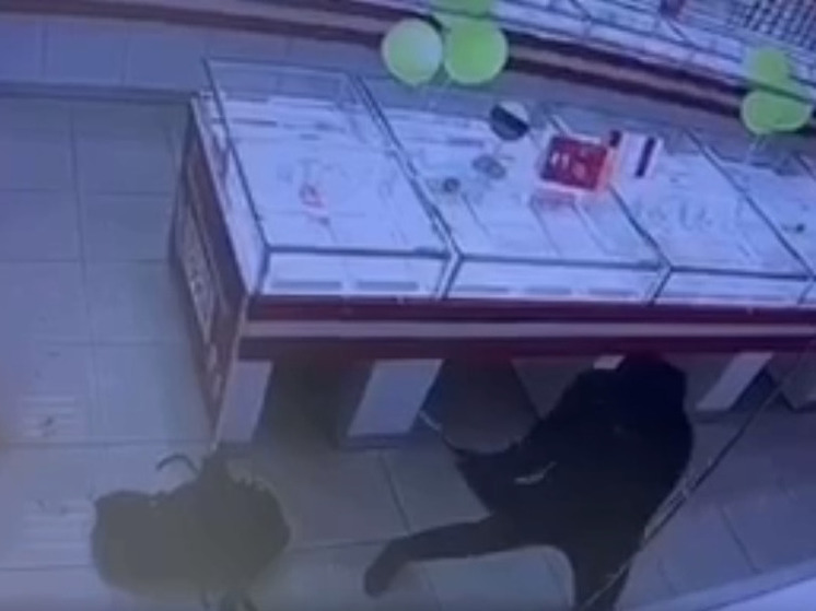 Неизвестные налетчики в минуту ограбили ювелирный магазин во Фрязино