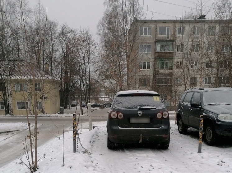 Незаконные парковочные столбы снесут в Петрозаводске