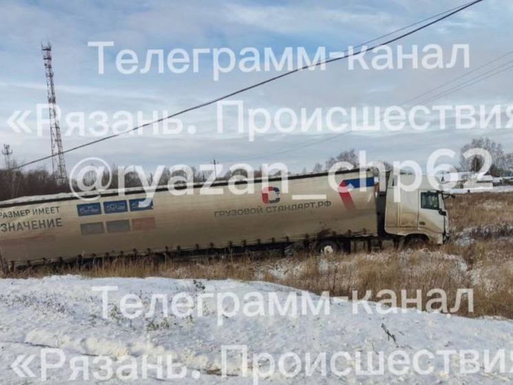 В Стенькине под Рязанью фура снесла столб и вылетела в кювет