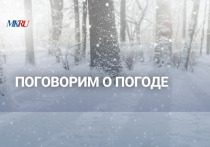 В пятницу, 24 ноября, в 12.00 прошел эксклюзивный прямой эфир из пресс-центра «МК», посвященный прогнозу погоды на зиму.