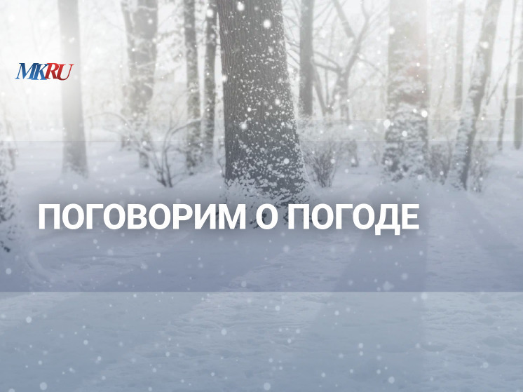 В пятницу, 24 ноября, в 12.00 прошел эксклюзивный прямой эфир из пресс-центра «МК», посвященный прогнозу погоды на зиму.
