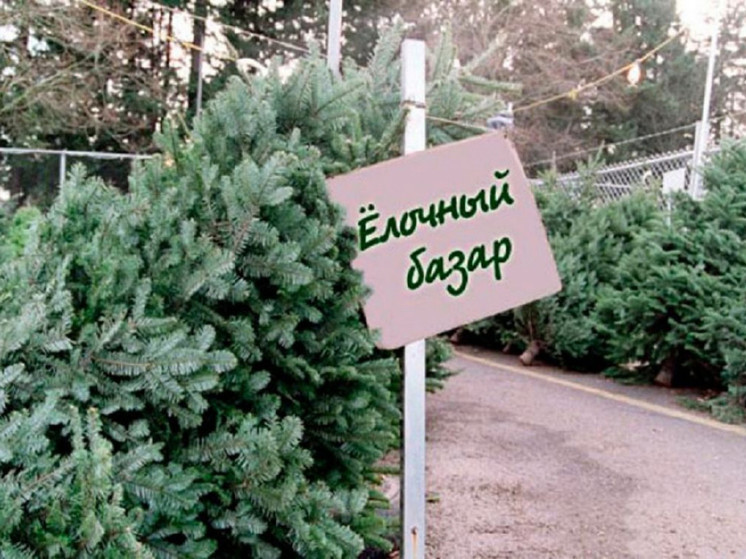 В Серпухове откроют ёлочные базары