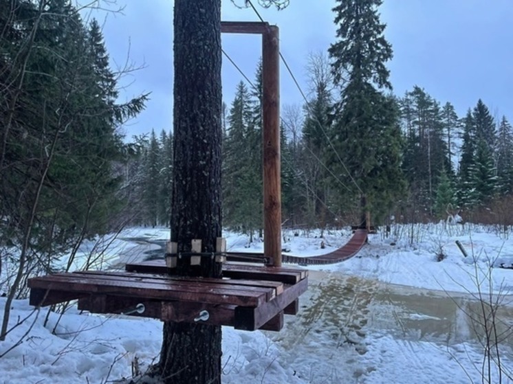 Поцелуеву мосту в Петрозаводске помогли уйти под воду воры