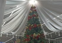 Новогодней елки в Донецке не будет