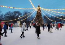 В Петербурге зимой будут работать 228 катков. Также в городских парках оборудуют 71 лыжную трассу, рассказал в своем telegram-канале вице-губернатор Борис Пиотровский.