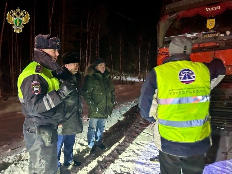 Уголовное дело возбуждено по факту ДТП в Сегеже, где погибли мигранты