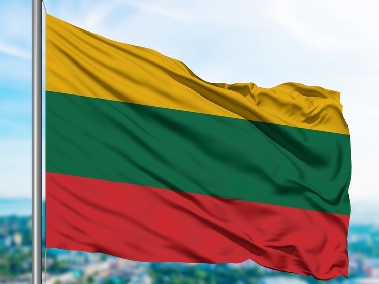 В Литве обеспокоились возможными мирными переговорами РФ и Украины