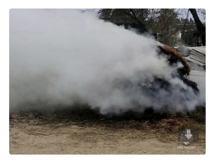 В Ельне неизвестный поджог сено