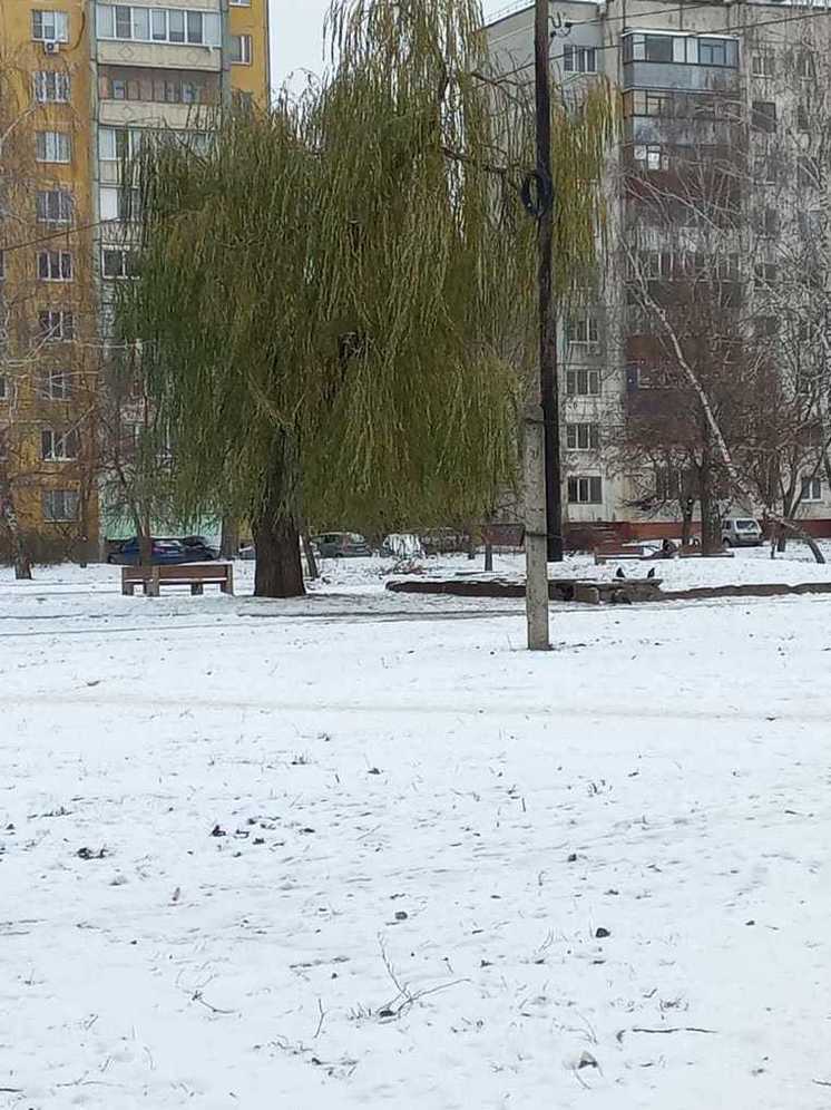В Курской области 25 ноября ожидается снег с дождем при +1