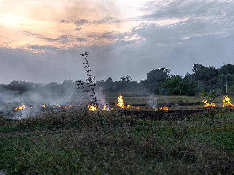 Примкнувшая к ВСУ американка рассказала о тяжелой ситуации на фронте