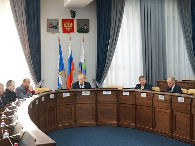 На комиссии по ЖКХ в думе Иркутска решали вопрос берегоукрепления