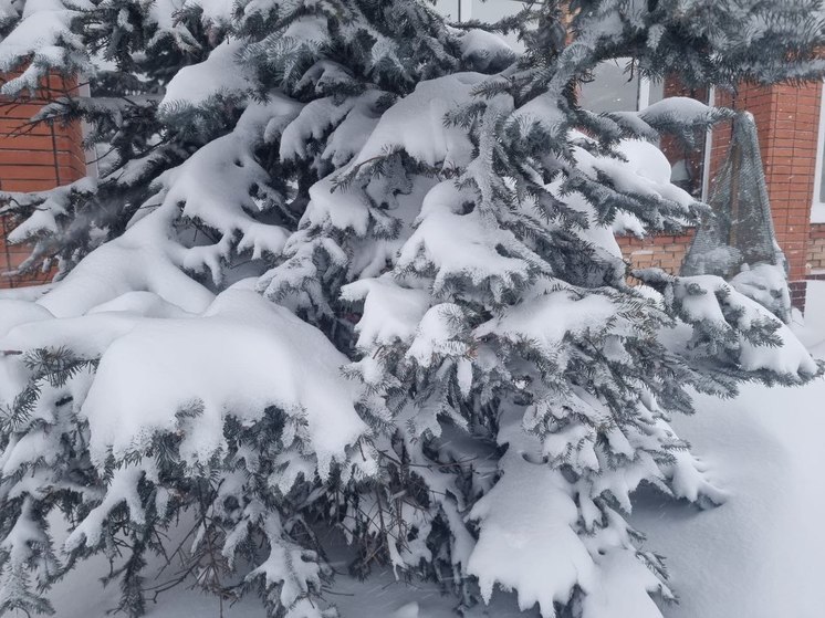 Зима придет в Сахалинскую область на предстоящей неделе