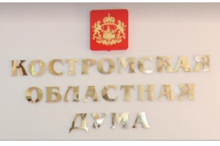 Депутаты Костромской областной Думы приняли в первом чтении бюджет области на 2024 год