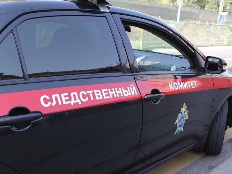 СК ищет свидетелей преступления против несовершеннолетней девочки на Сахалине