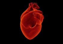 У 17-летнего подростка из Норильска сердце увеличилось до размера грудной клетки и не помещается в теле