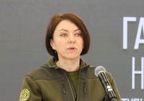 Бывшая заместитель министра обороны Украины Анна Маляр в интервью изданию «Лига.нет» заявила, что в стране прошло время «популярных решений по мобилизации».
