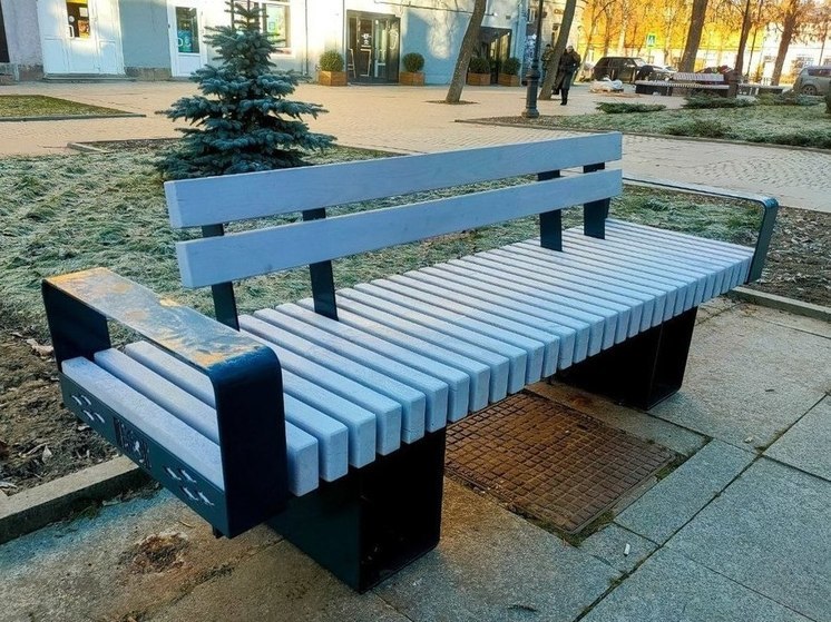 «Неудобные скамейки», которые не понравились псковичам, перенесут в Детский парк