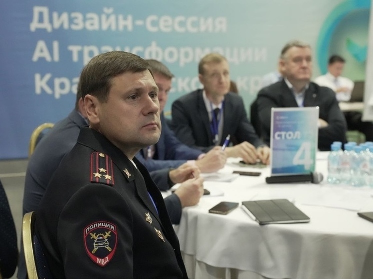 Правительство Красноярского края совместно с крупным банком обсудили развитие ИИ в регионе