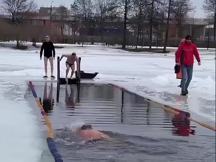 Ленинградцы отметили День моржа заплывом в Гатчине