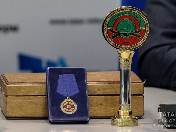 Пройдет вручение Национальной премии Татарстана по боевым искусствам