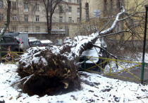 Москве не угрожают серьезные ураганы, однако зимой стоит быть начеку и следить за сообщениями о силе ветра
