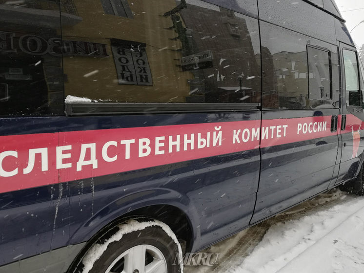 Следком начал проверку после высадки ребенка из автобуса в Краснокаменске